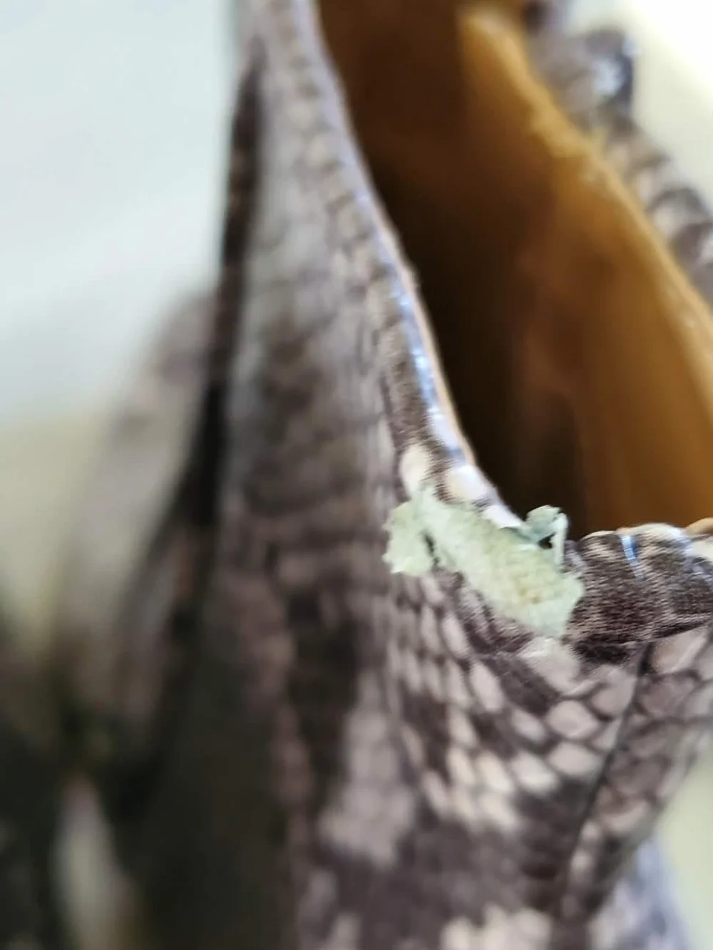 Express Gray Snake-Print Pointed Ankle Booties